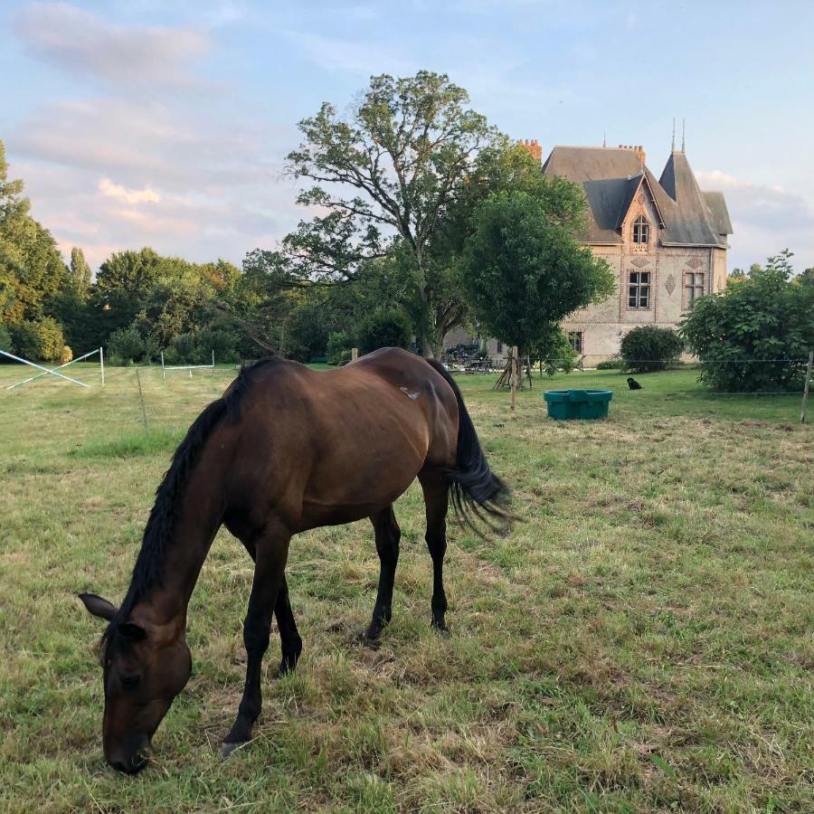 فيلا Manoir De La Chouanniere Montreuil-sur-Maine المظهر الخارجي الصورة